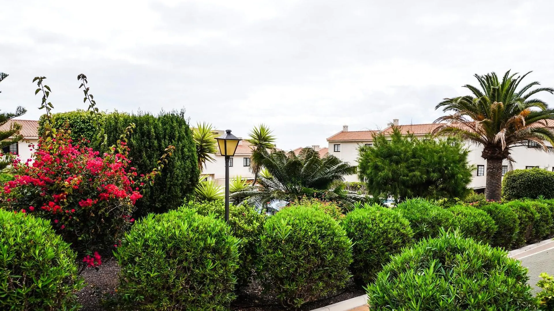 Bright House With Working Space Ελ Μέντανο Ισπανία