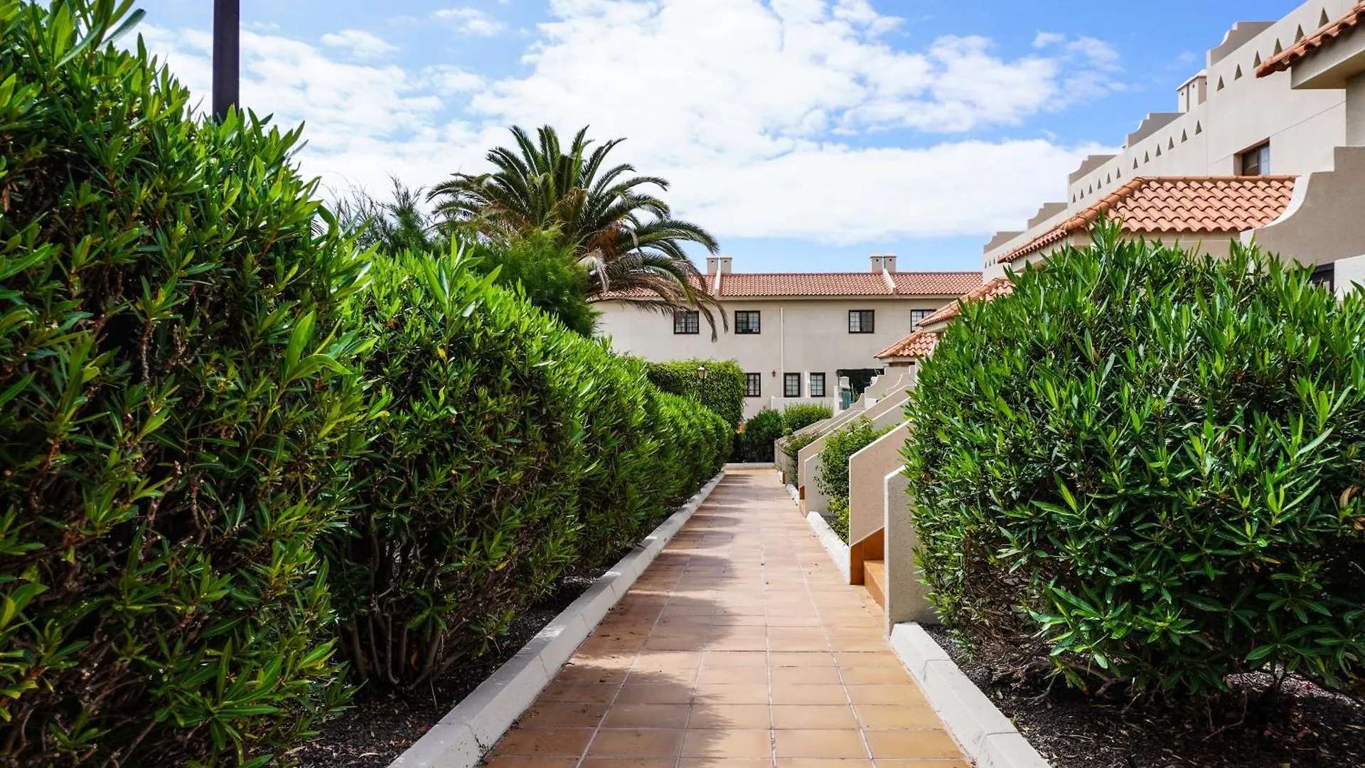 Bright House With Working Space Ελ Μέντανο Διαμέρισμα
